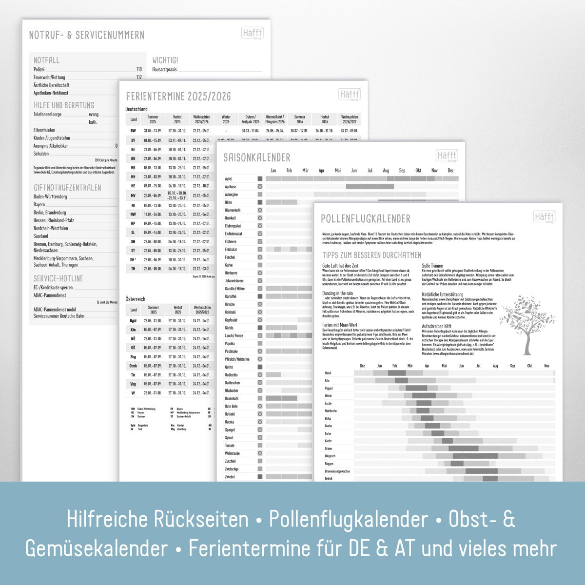 Familienplaner 2025/2026 Kompakt / 18 Monate / 4-spaltig / Rainbow / Häfft-Verlag