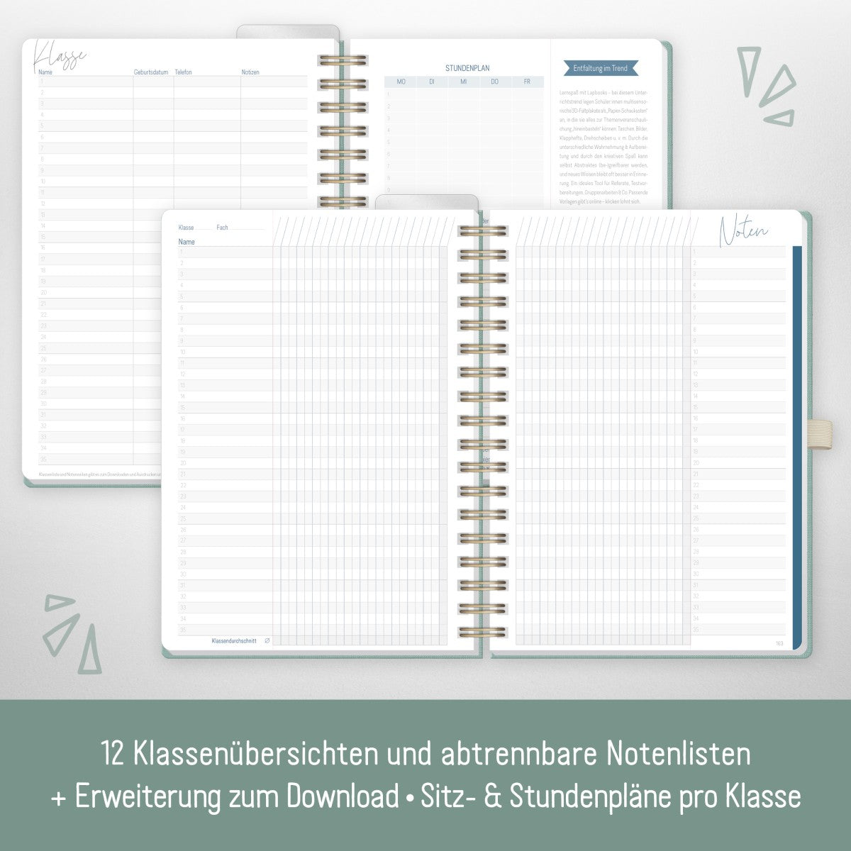 Häfft Lehrer-Planer Deluxe 2025/2026 / A5+ / Green Canvas