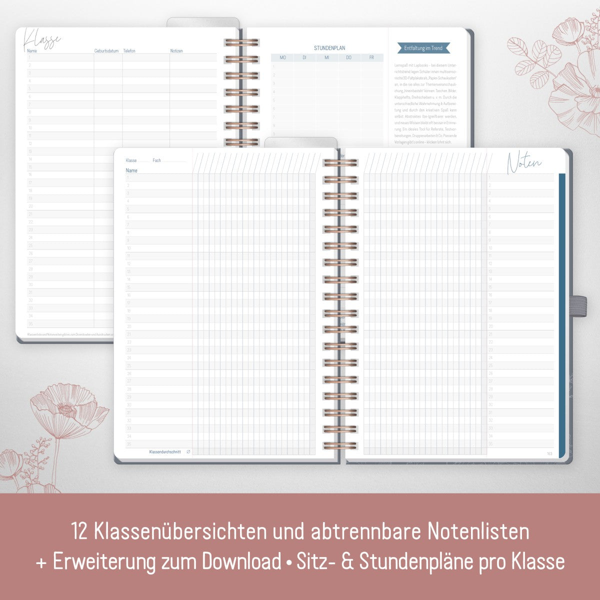 Häfft Lehrer-Planer Deluxe 2025/2026 / A5+ / Poppy