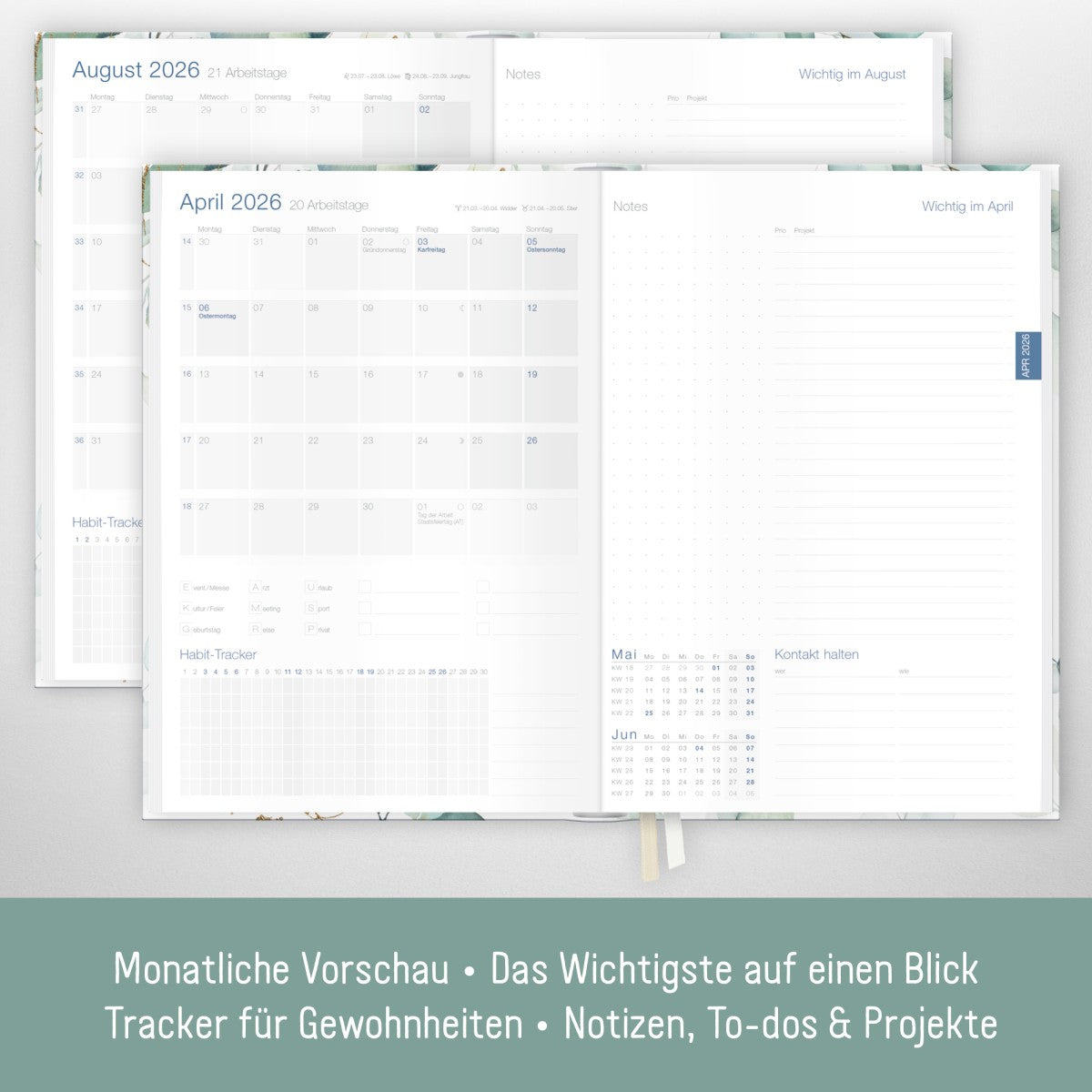 Business-Timer 2025/2026 / 18 Monate / Blattgold / Häfft Verlag
