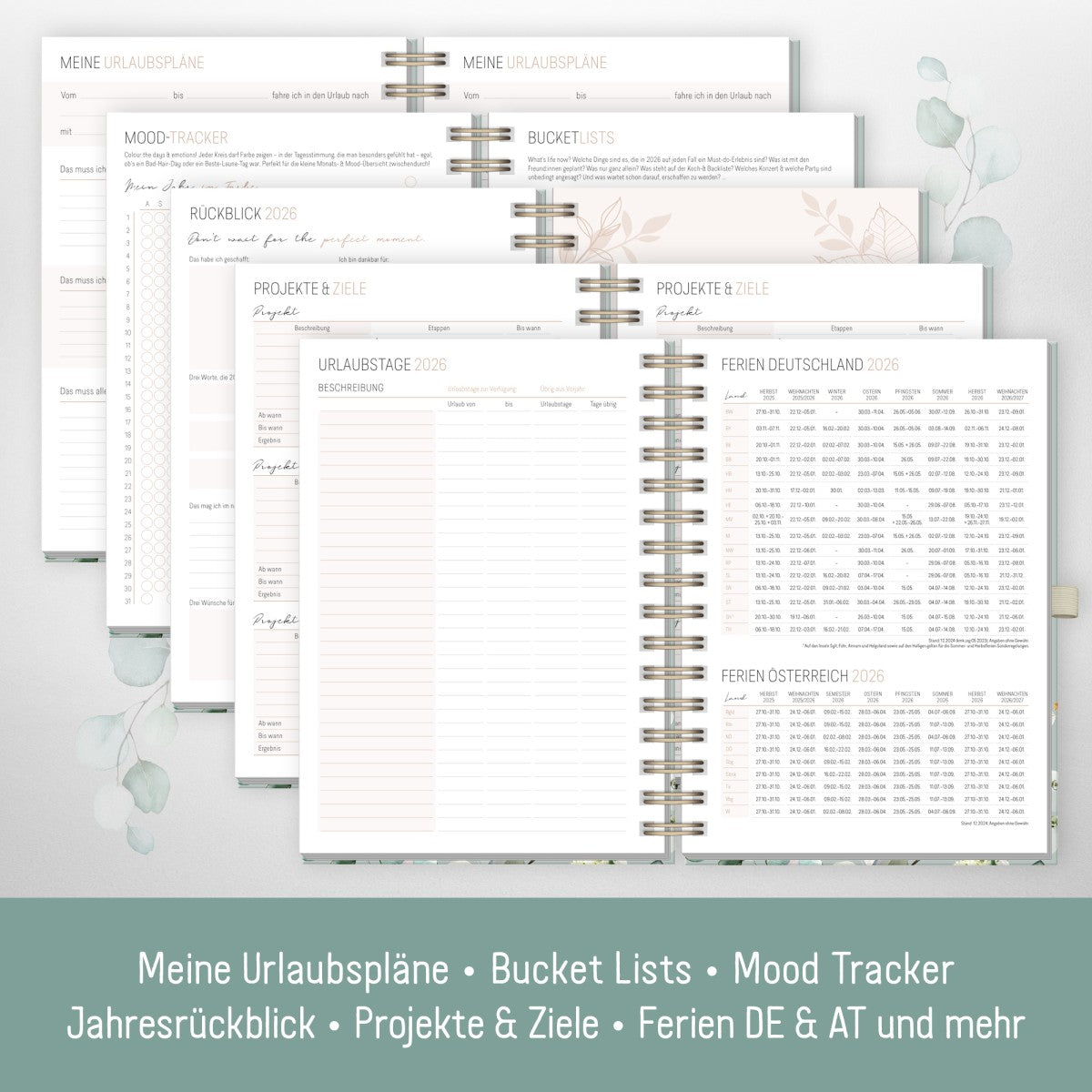 Lieblings-Timer Deluxe 2025/2026 / Ringbuch-Kalender / Minty Leaves / Häfft-Verlag