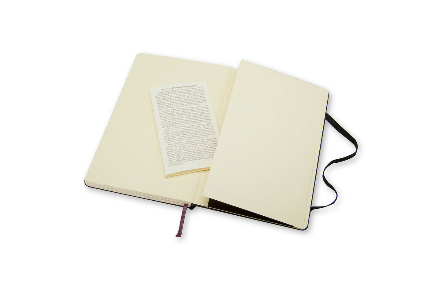 Moleskine Notizbuch Hardcover Large / A5 / kariert / schwarz