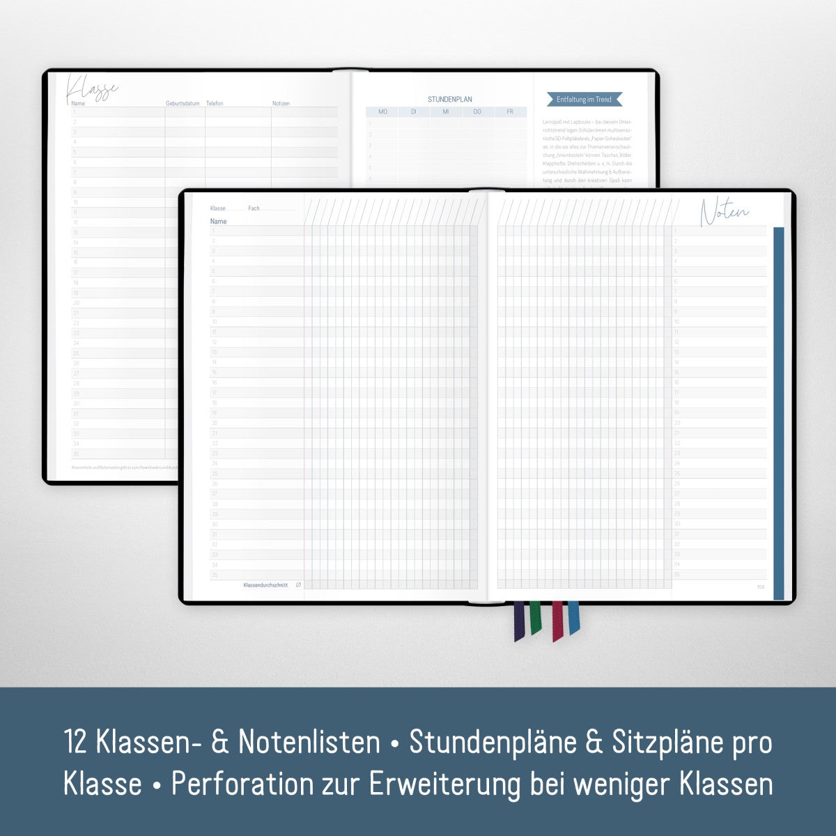 Häfft Lehrer-Planer 2025/2026 / A5+ / Black Edition