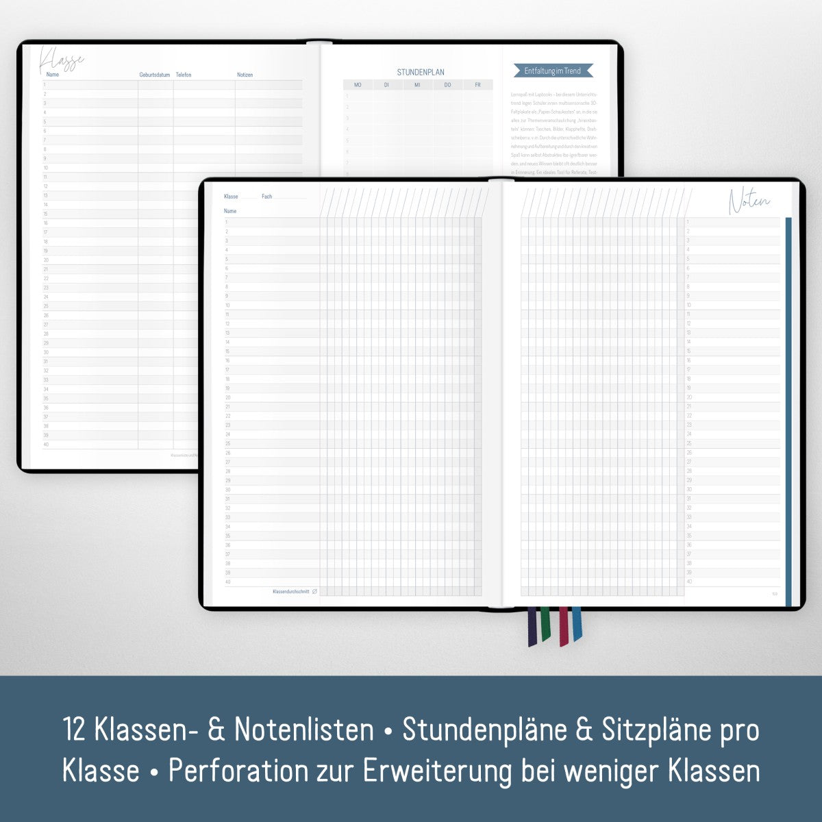 Häfft Lehrer-Planer 2025/2026 / A4+ / Black Edition