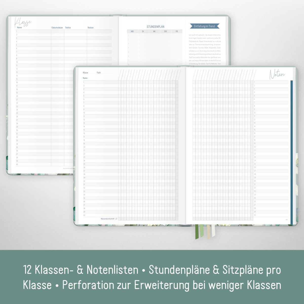 Häfft Lehrer-Planer 2025/2026 / A4+ / Minty Leaves