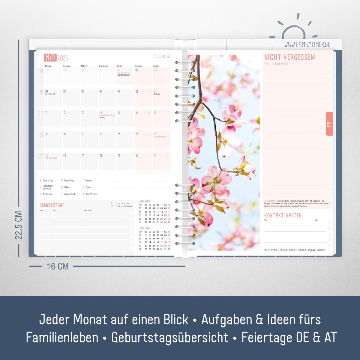 Family-Timer 2025/2026 / 18 Monate / Fine Flowers Blue / Häfft Verlag