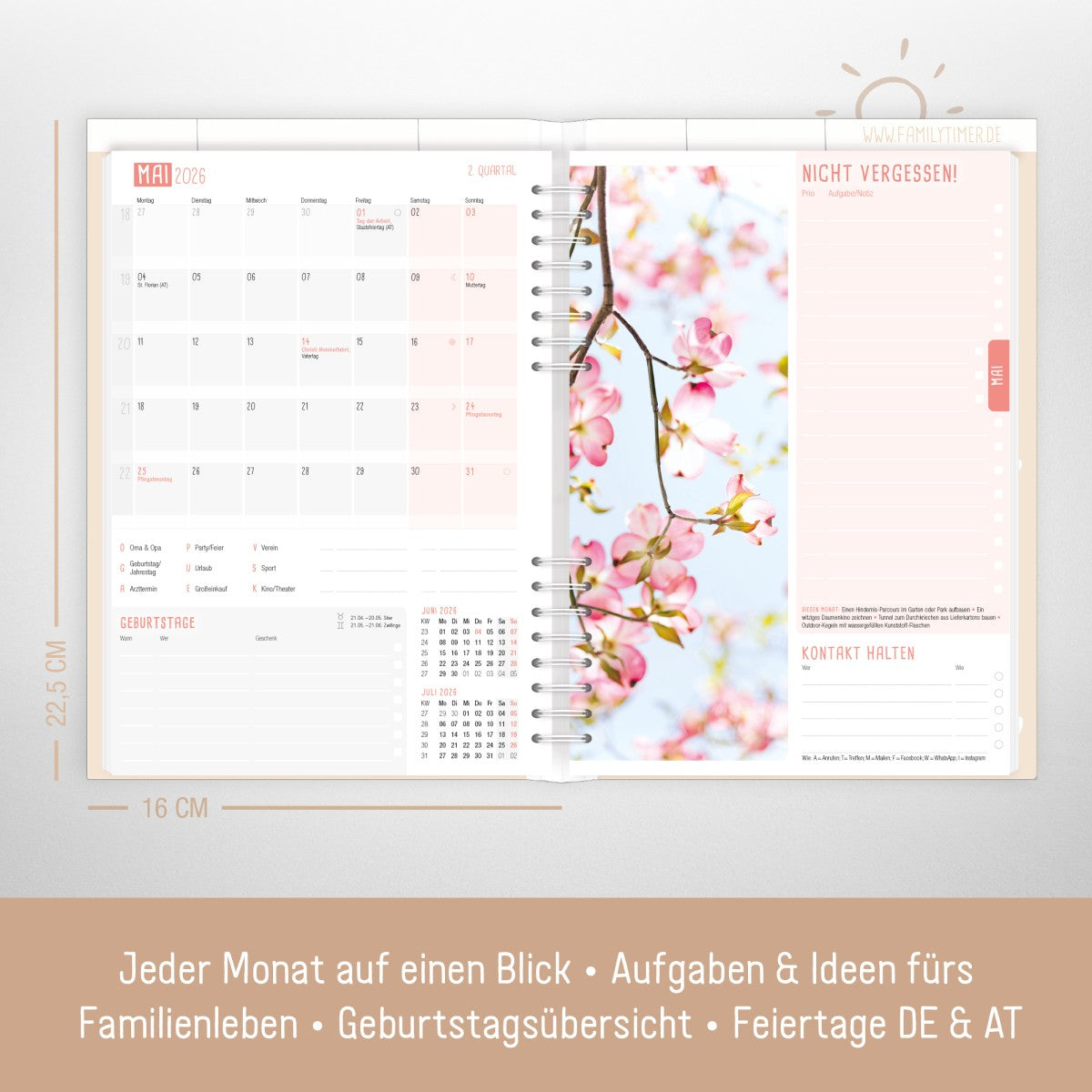 Family-Timer 2025/2026 / 18 Monate / Lovely Hearts / Häfft Verlag