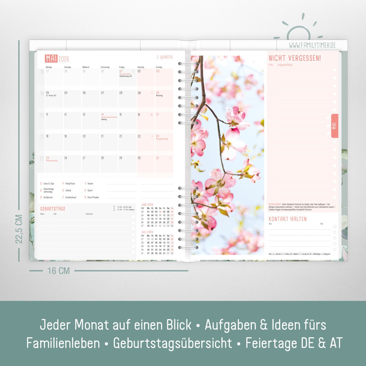 Family-Timer 2025/2026 / 18 Monate / Minty Leaves / Häfft Verlag