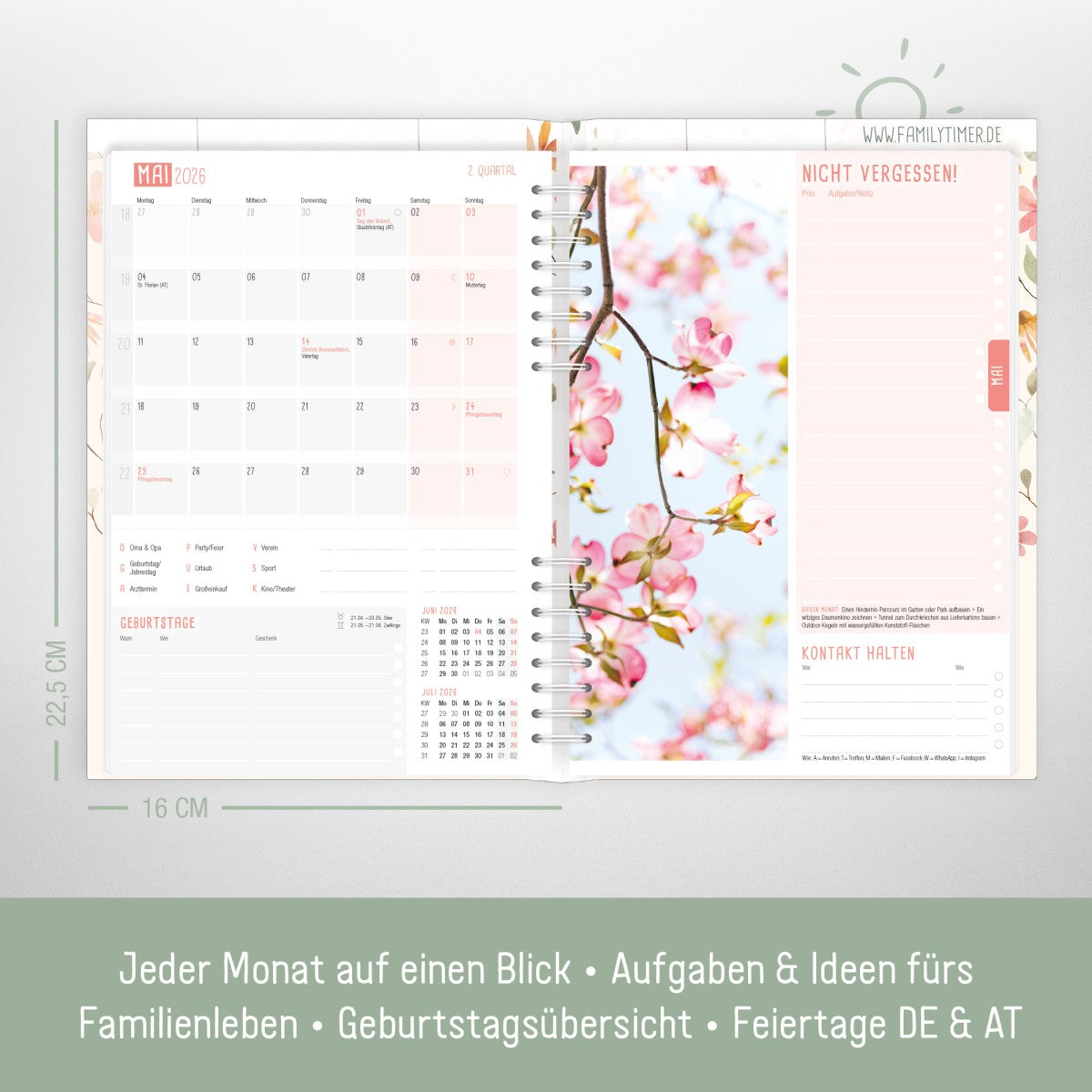 Family-Timer 2025/2026 / 18 Monate / Wild Blossoms / Häfft Verlag
