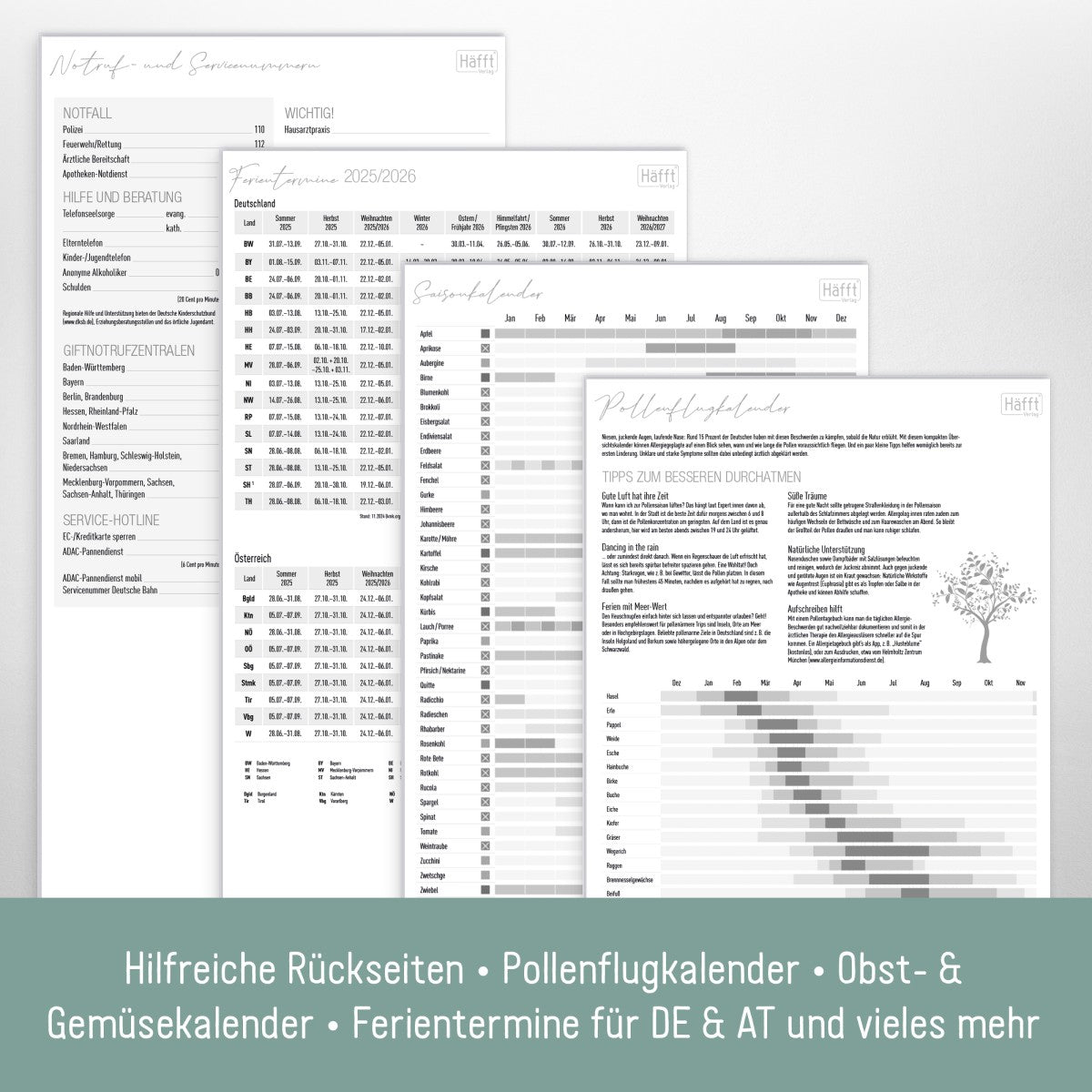 Familienplaner 2025/2026 Kompakt / 18 Monate / 4-spaltig / Blattgold / Häfft-Verlag
