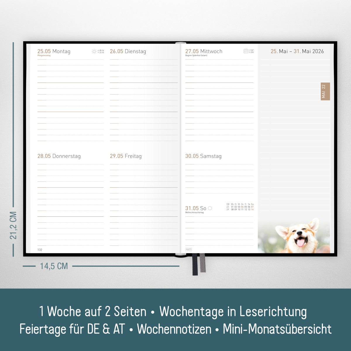 Chäff-Timer Classic 2025/2026 / 18 Monate / A5 / Black Edition / Häfft-Verlag