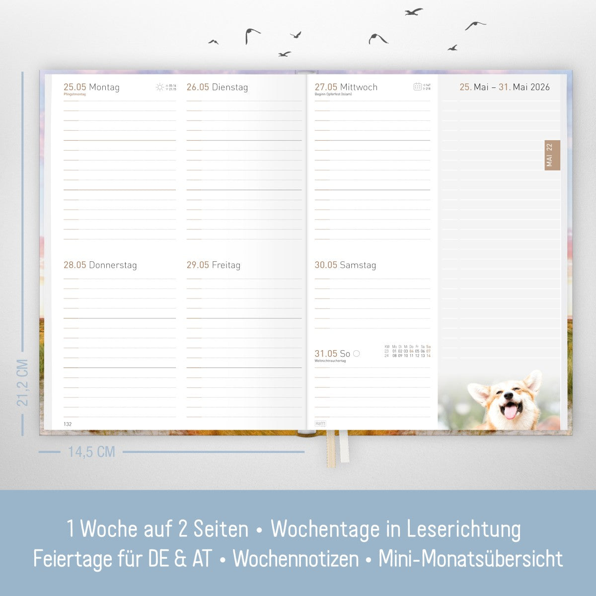 Chäff-Timer Classic 2025/2026 / 18 Monate / A5 / Leuchtturm / Häfft Verlag