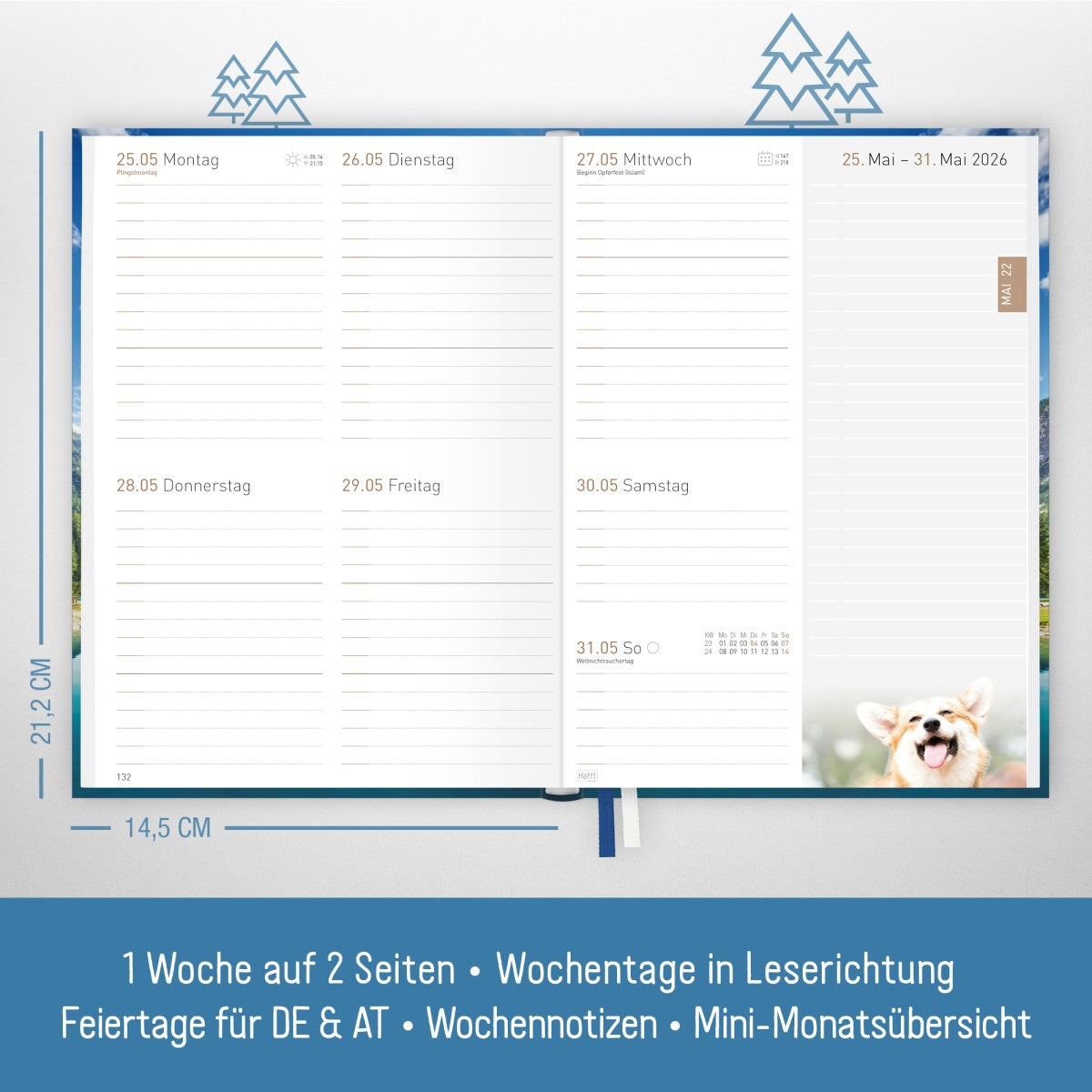 Chäff-Timer Classic 2025/2026 / 18 Monate / A5 / Time to dream / Häfft-Verlag