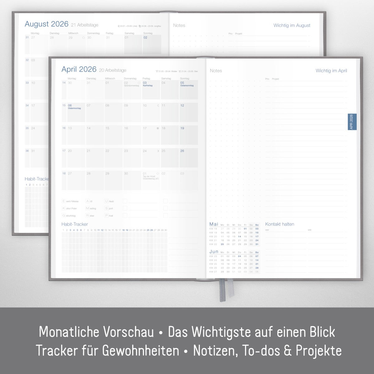 Business-Timer 2025/2026 / 18 Monate / Grau-Rosé / Häfft Verlag