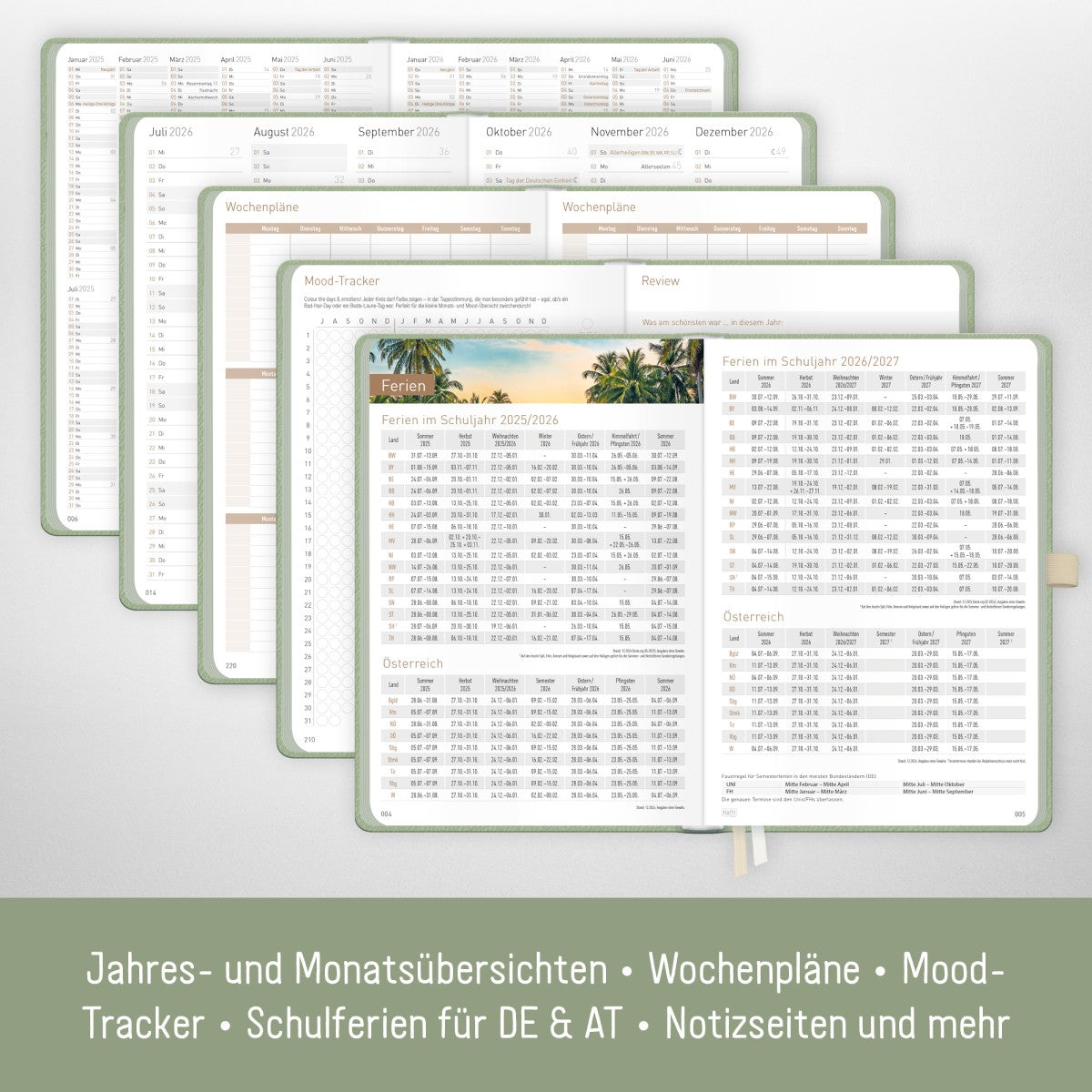 Chäff-Timer Deluxe 2025/2026 / 18 Monate / A5 / Salbei / Häfft-Verlag