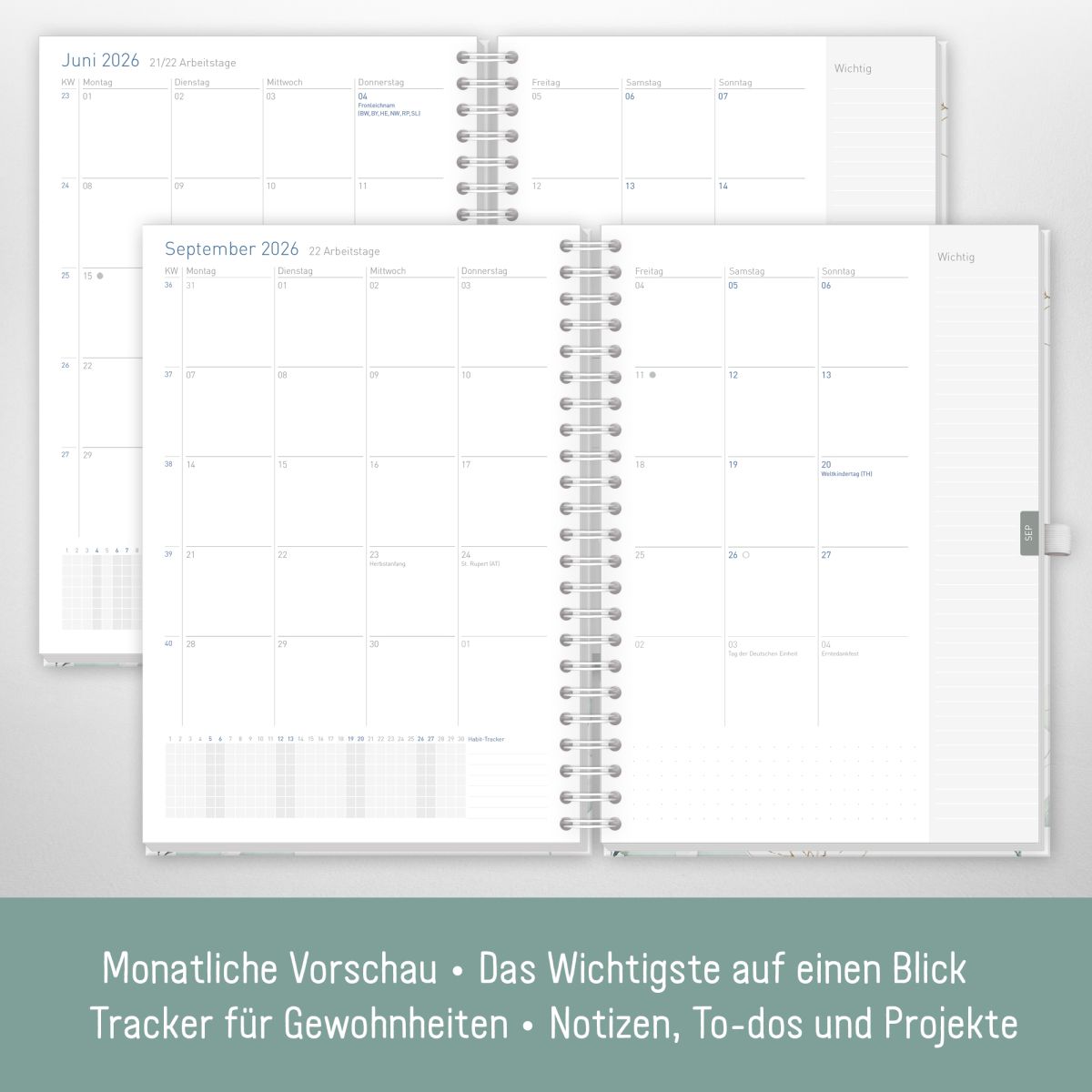 Business-Timer Maxi 2026 / A4 / Blattgold / Häfft-Verlag