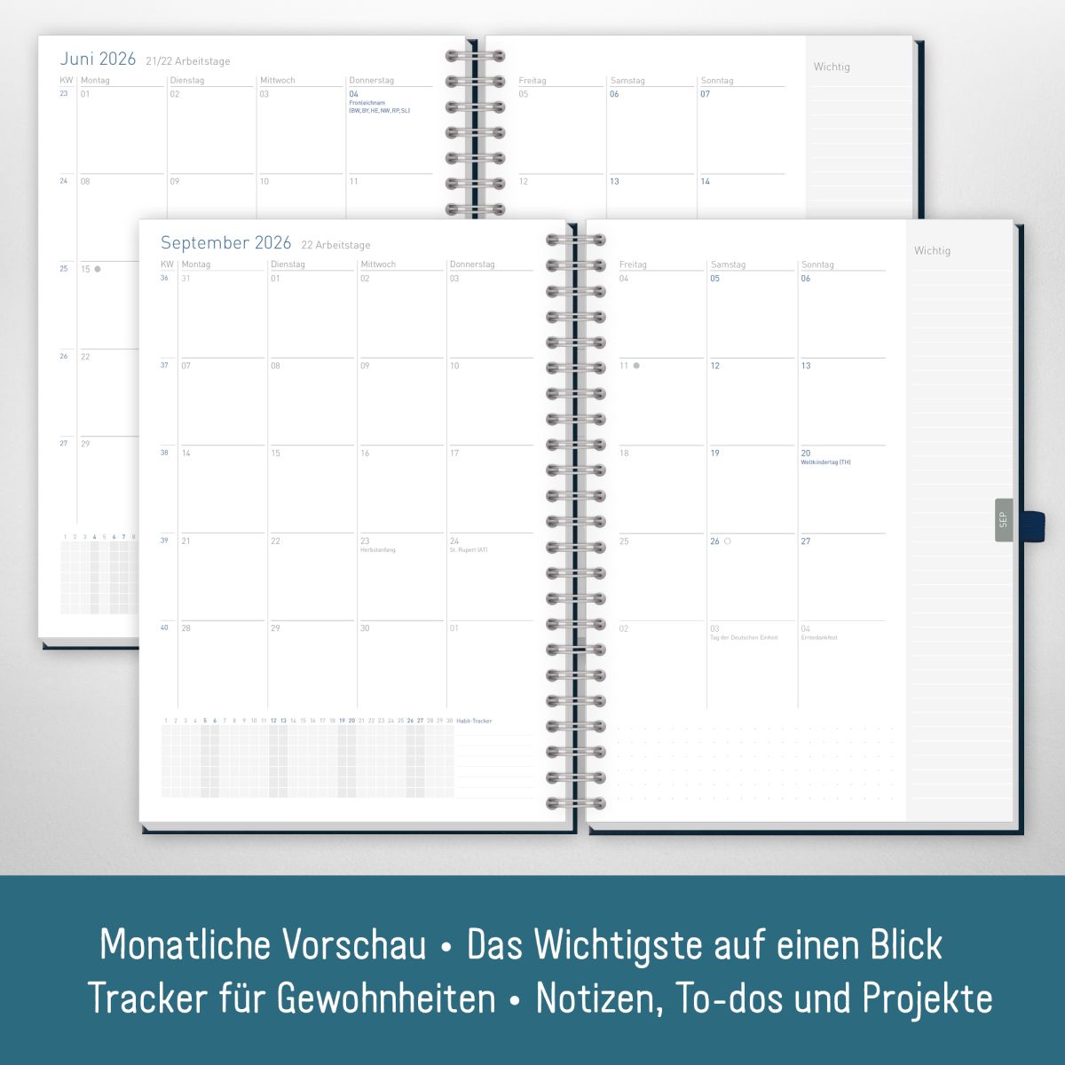 Business-Timer Maxi 2026 / A4 / Nachtblau / Häfft-Verlag