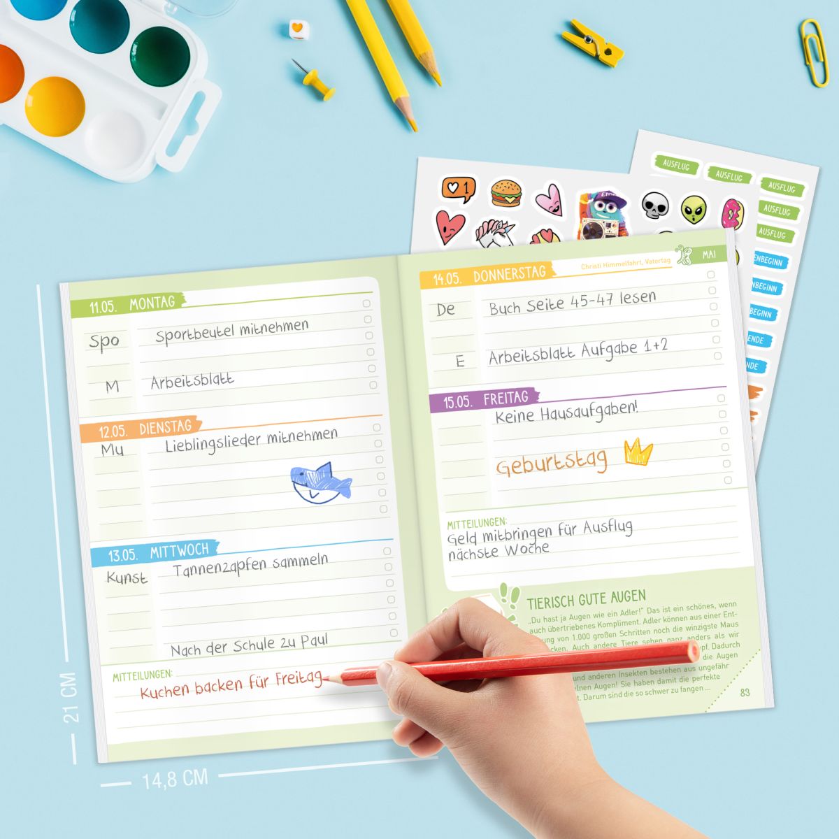 Das Grundschul-Hausaufgabenheft 2025/2026 / A5 / Dino / Häfft-Verlag