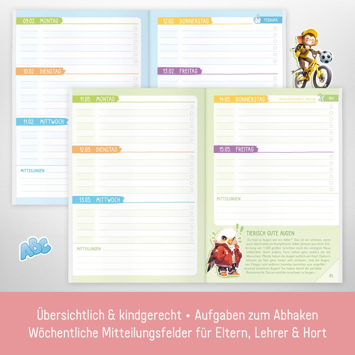 Das Grundschul-Hausaufgabenheft 2025/2026 / A5 / Pferd / Häfft-Verlag