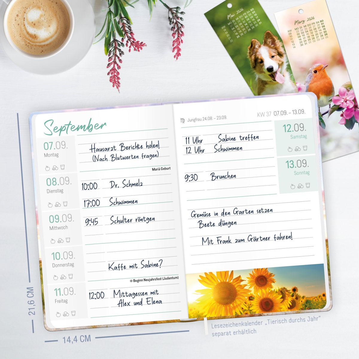 Großdruck-Kalender 2026 / A5 / Leuchtturm / Häfft-Verlag