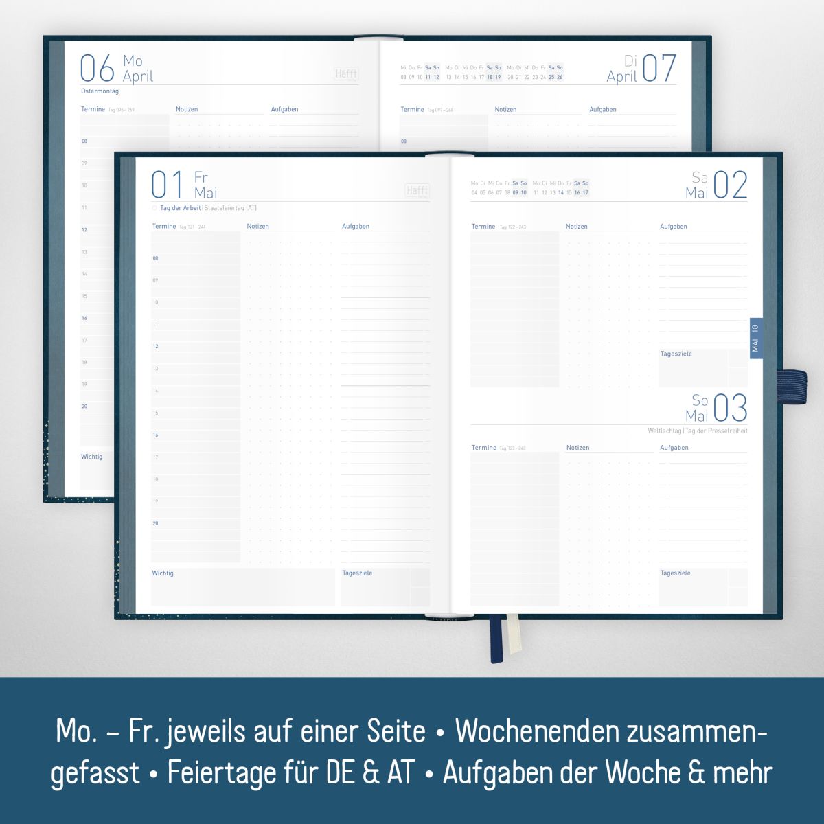 Organizer Day by Day Deluxe 2026 - 1 Tag/Seite / A5 / Golden Earth / Häfft-Verlag