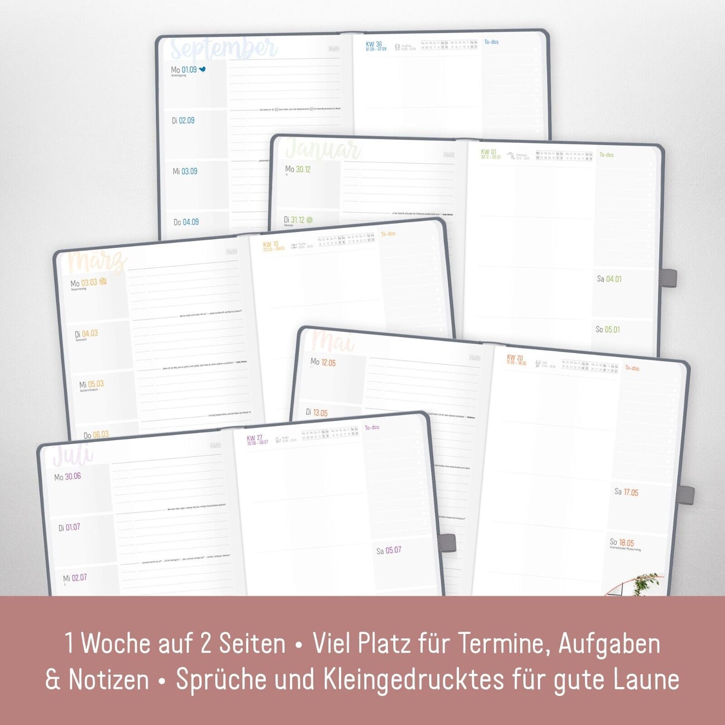 Häfft-Timer Deluxe 2024/2025 / Jugendkalender / Poppy / Häfft-Verlag