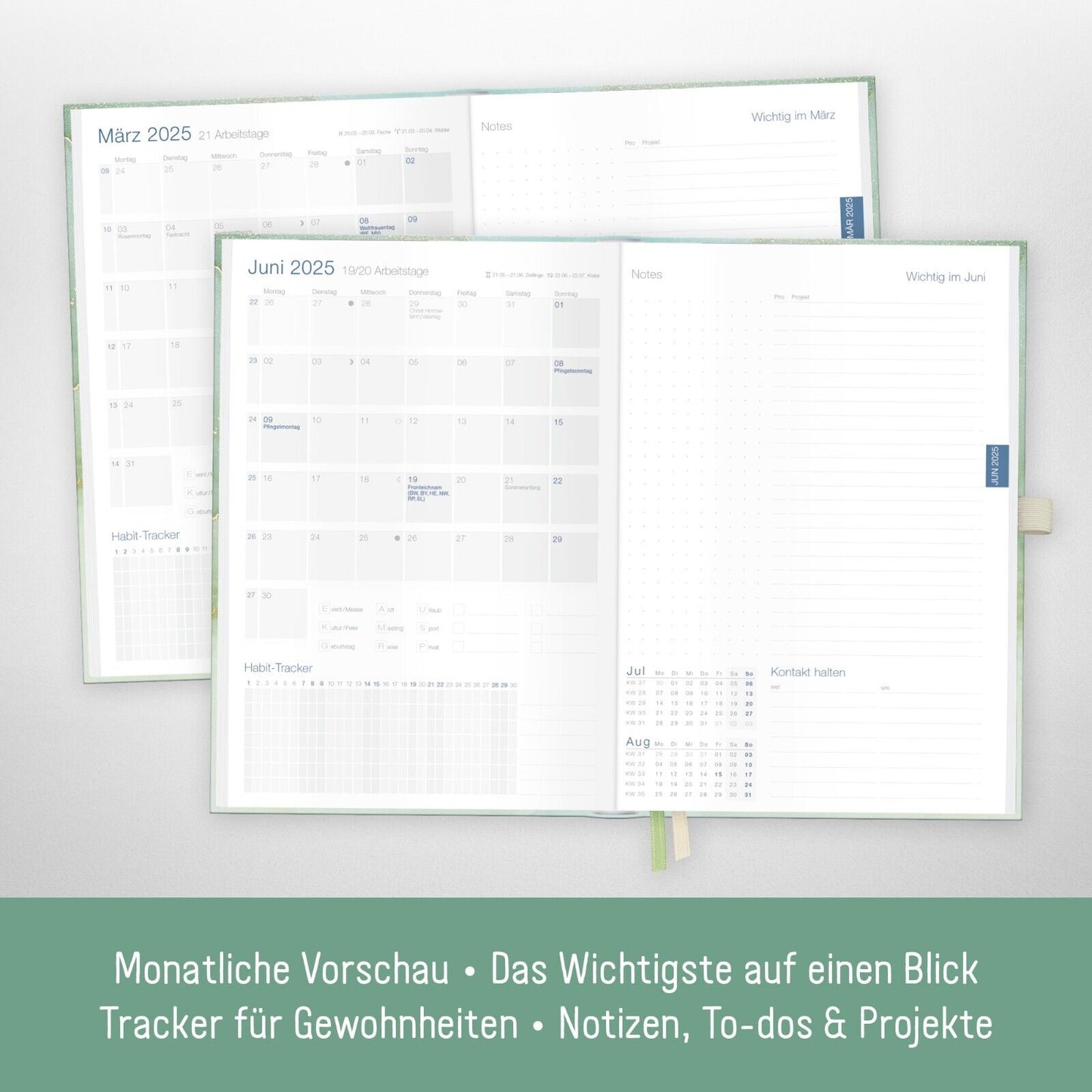 Business-Timer Deluxe 2025 / 12 Monate / Soft Green / Häfft-Verlag