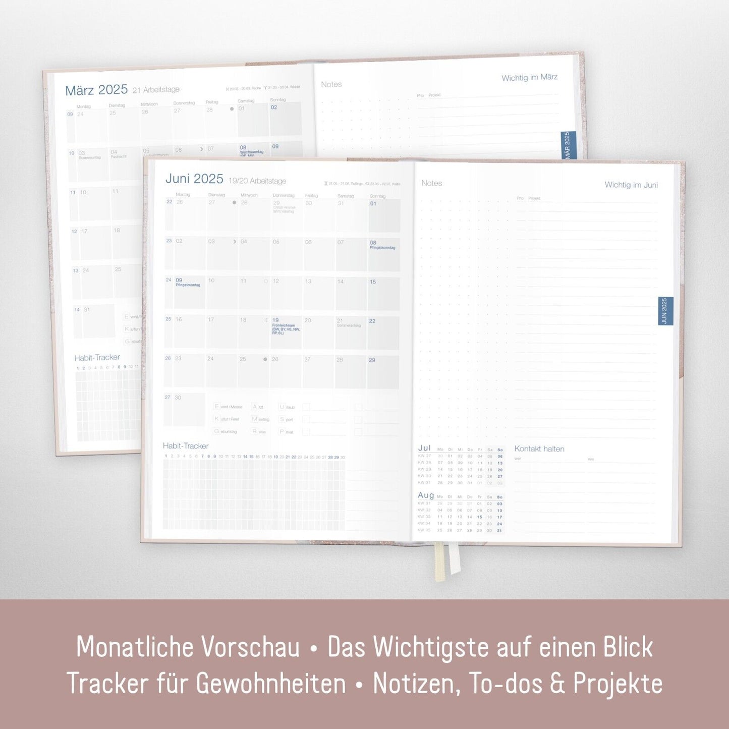 Business-Timer 2025 / 12 Monate / Soft Beige / Häfft-Verlag