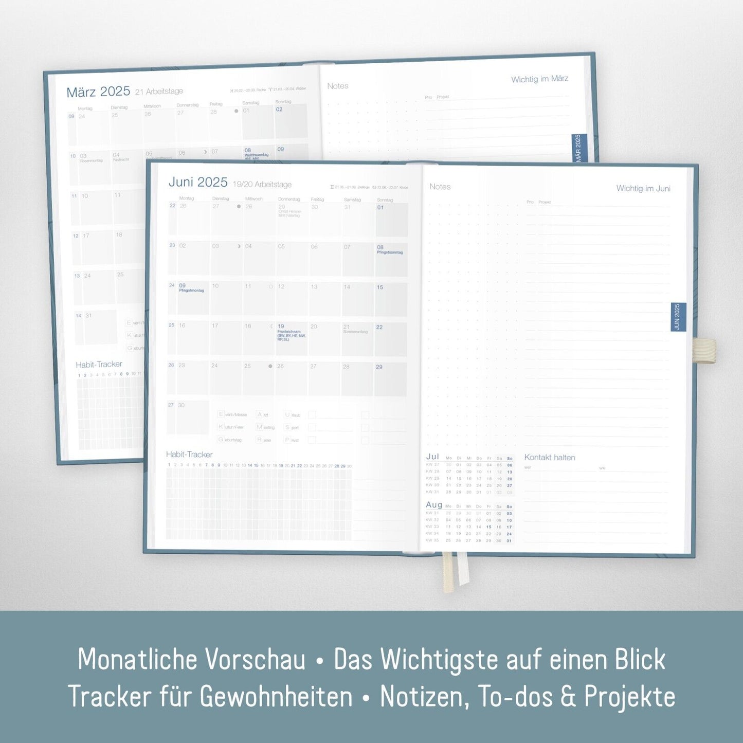 Business-Timer Deluxe 2025 / 12 Monate / Blue Ginkgo / Häfft-Verlag