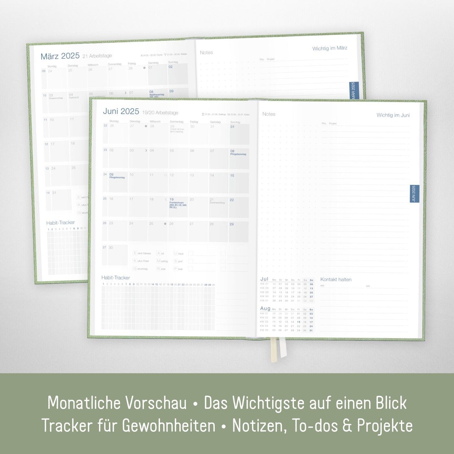 Business-Timer 2025 / 12 Monate / Salbei / Häfft-Verlag