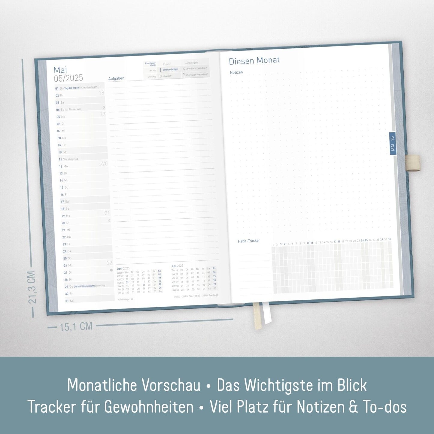 Organizer Day by Day Deluxe 2025 / 12 Monate / Blue Ginkgo / Häfft-Verlag