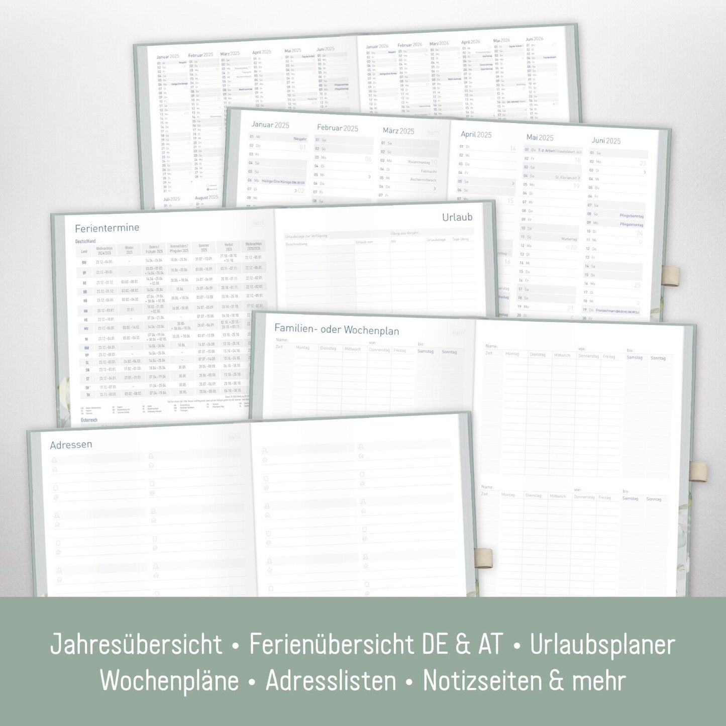 Organizer Day by Day Deluxe 2025 / 12 Monate / Minty Leaves / Häfft-Verlag