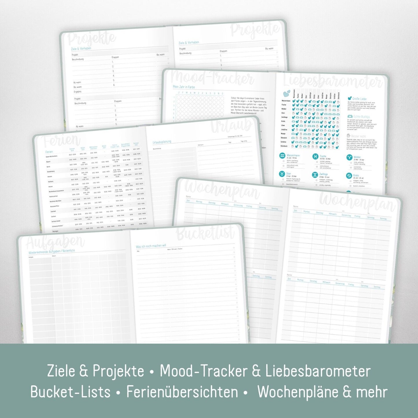 Häfft-Timer 2025 / A5 / Jugendkalender / Minty Leaves / Häfft-Verlag