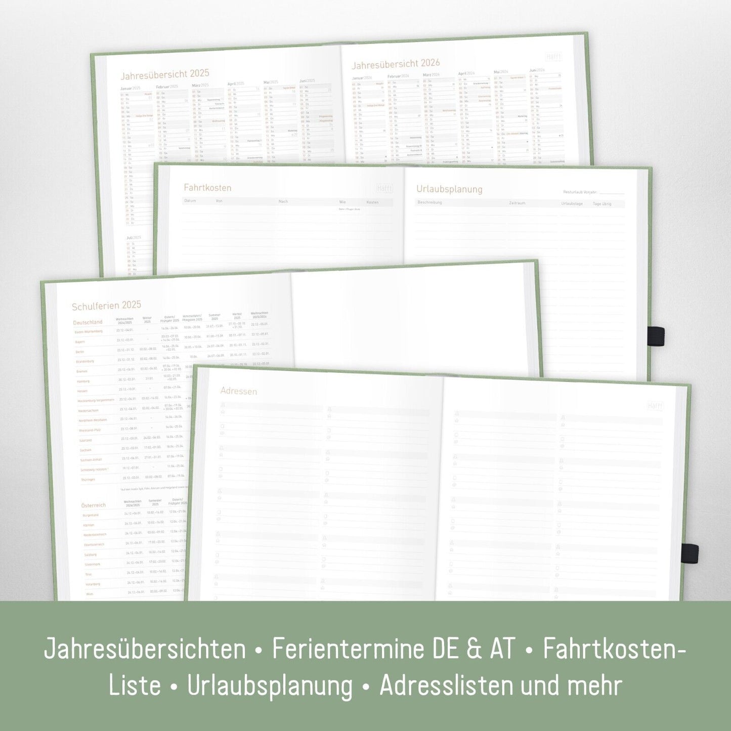 Organizer Maxi 2025 / A4+ / Salbei / Häfft-Verlag