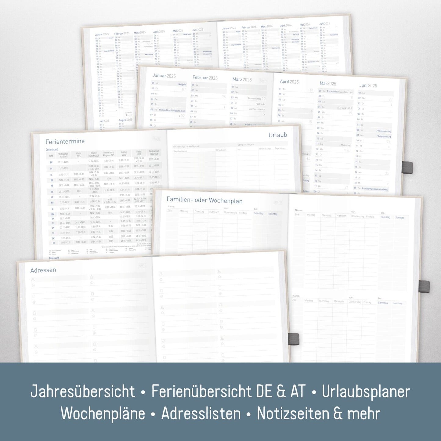 Organizer Day by Day 2025 / 12 Monate / Paws / Häfft-Verlag