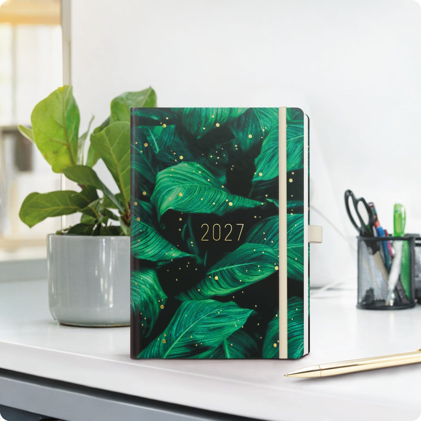 Chäff-Timer Premium 2026/2027 / 17 Monate / A5 / Green Leaves / Häfft-Verlag