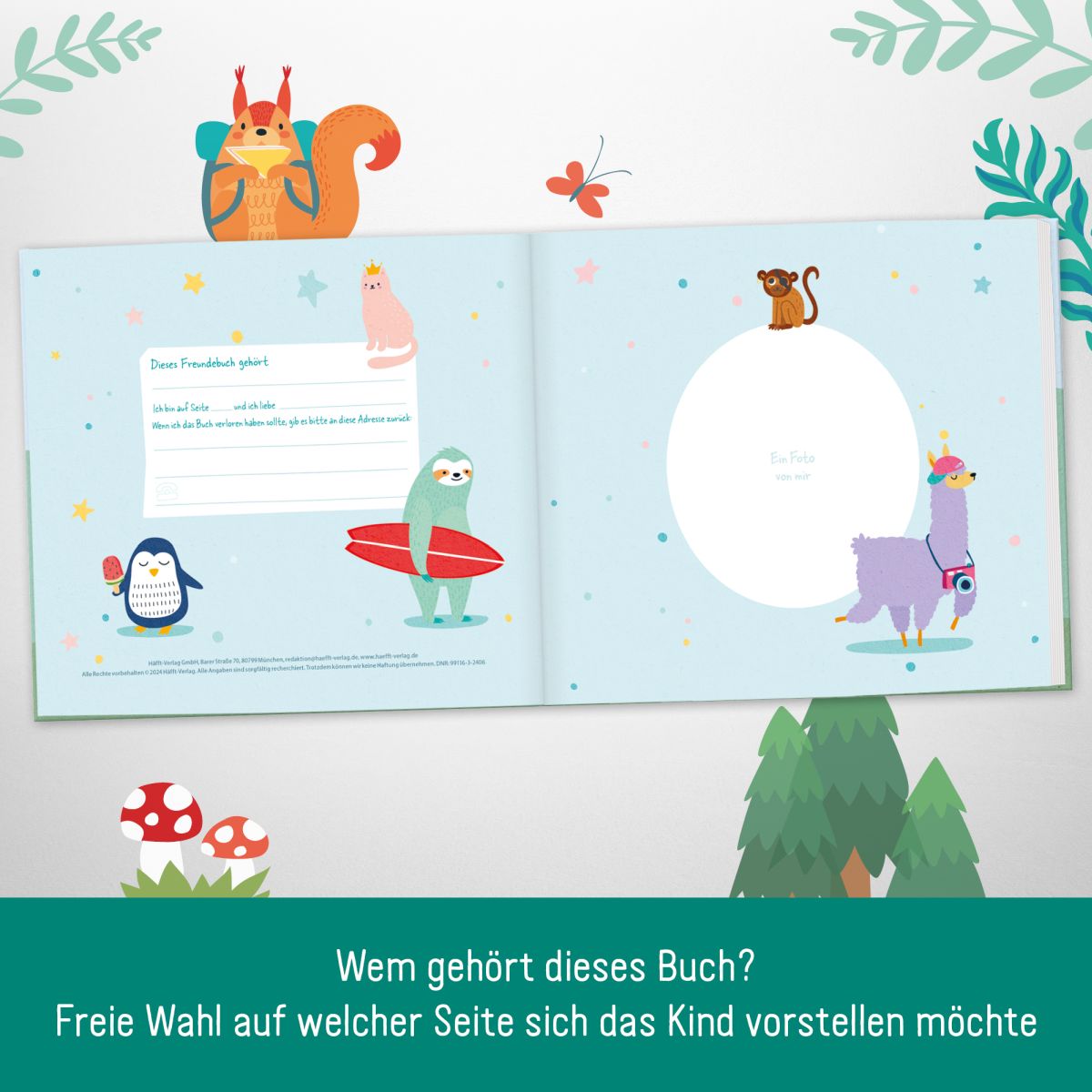 Lernfreunde Freundebuch / Kindergarten / Dino / Häfft-Verlag
