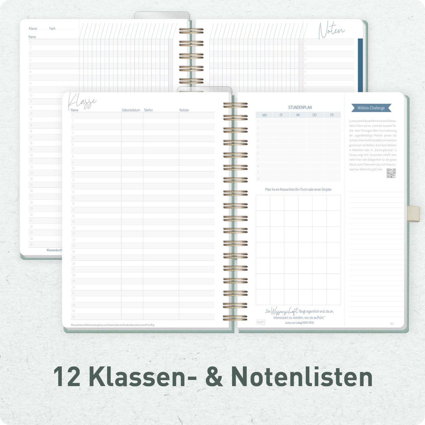 Häfft Lehrer-Planer Deluxe KL 2026/2027 / A5+ / Green Canvas