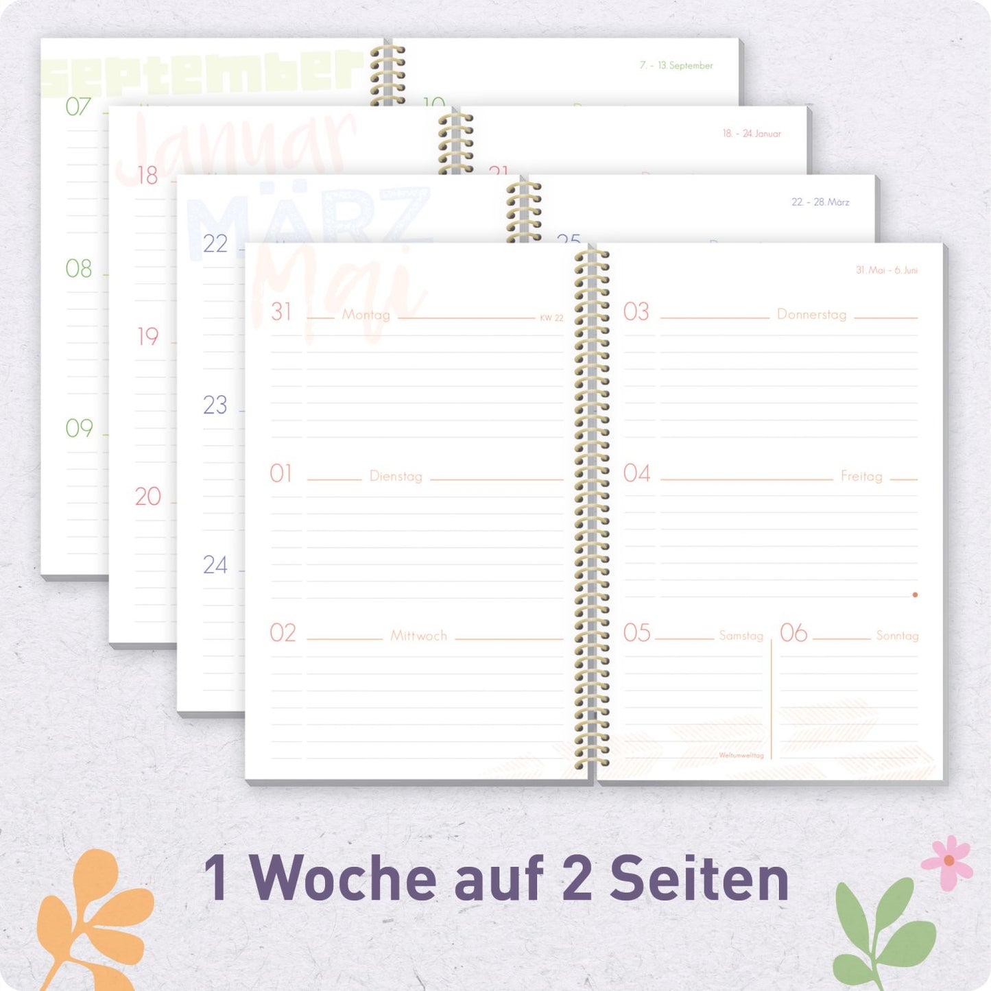Schulstuff Schüler-Timer Spiralbindung 2026/2027 / A5 / Daisy & Leaf / Häfft-Verlag